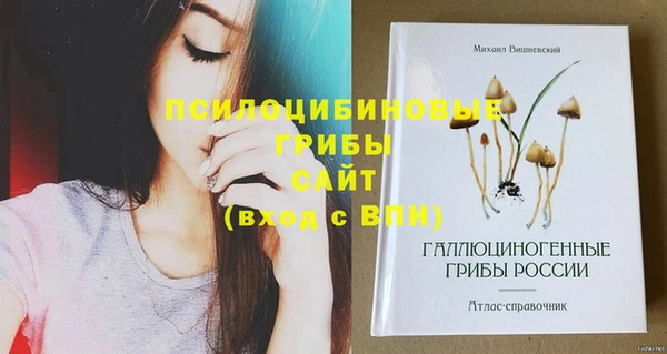 стаф Армянск