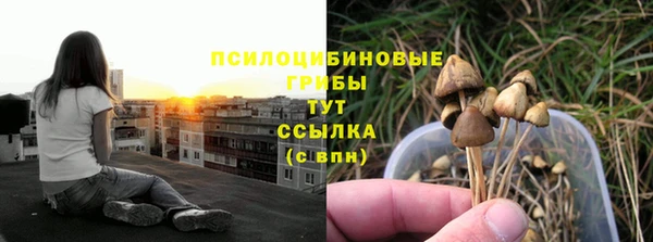 стаф Армянск