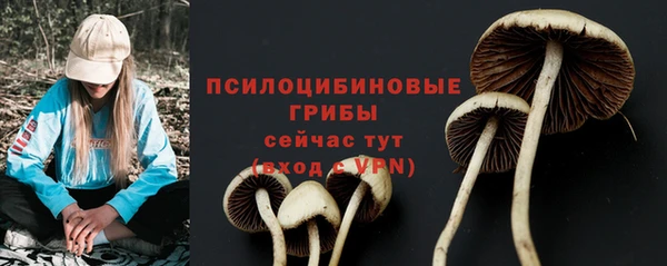 стаф Армянск